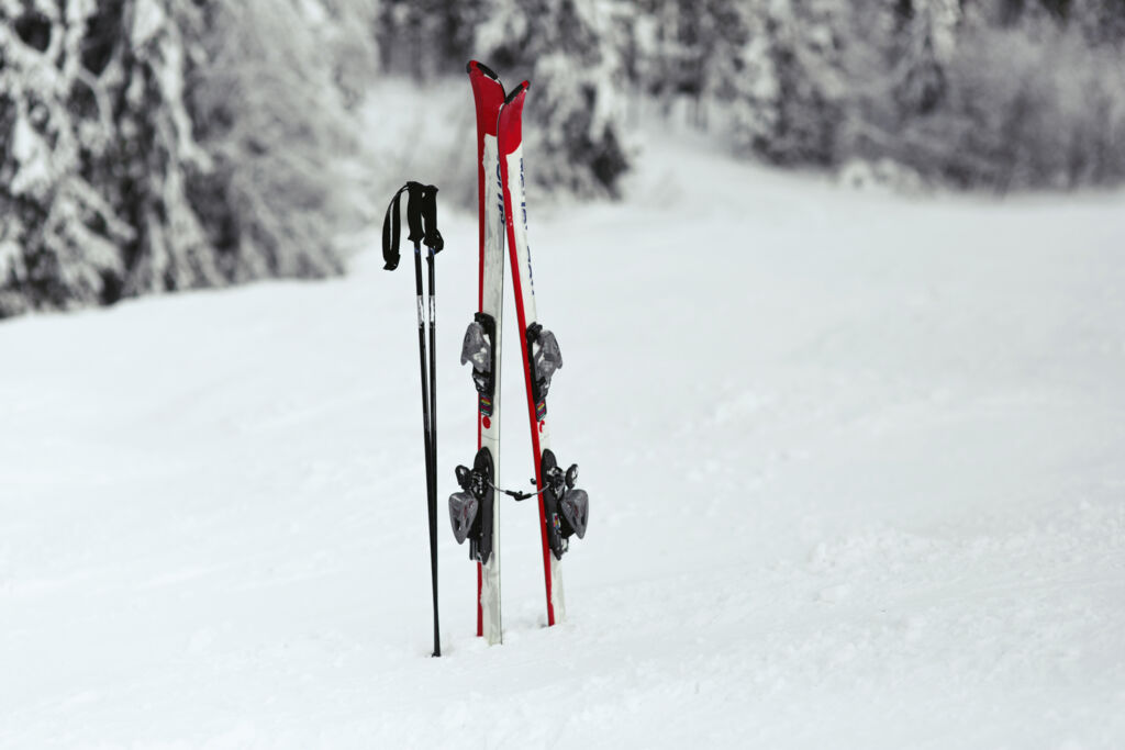 red-white-skis-put-snow-forest