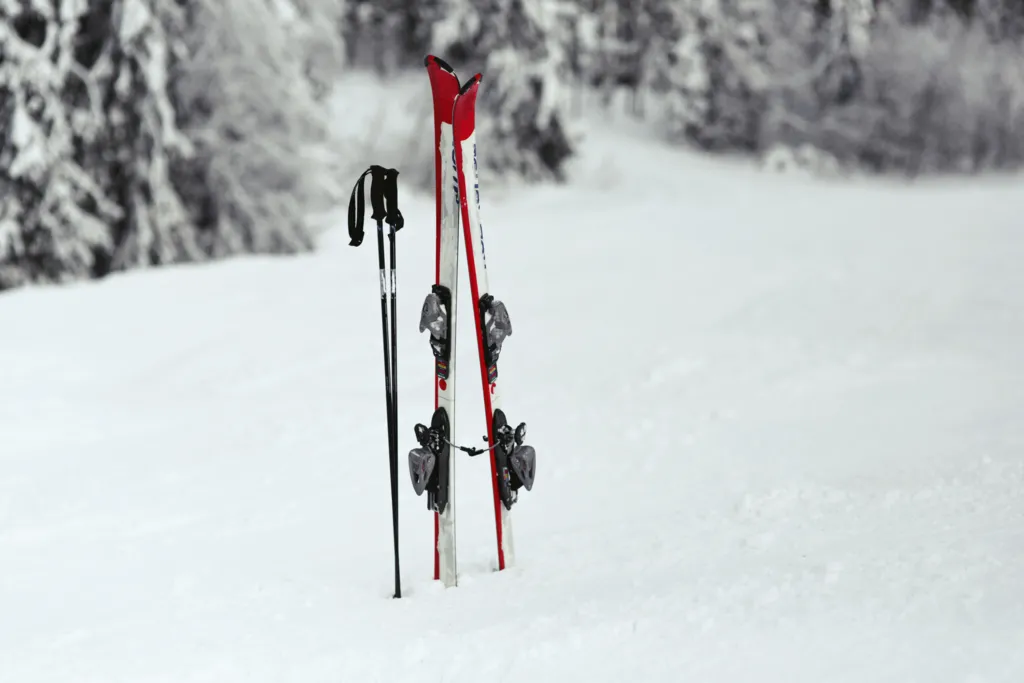 red-white-skis-put-snow-forest